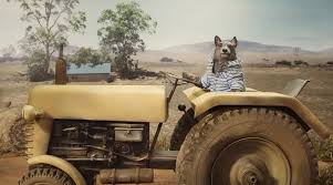 Telsra – Better on a better mobile network – Bear Meets Eagle On Fire